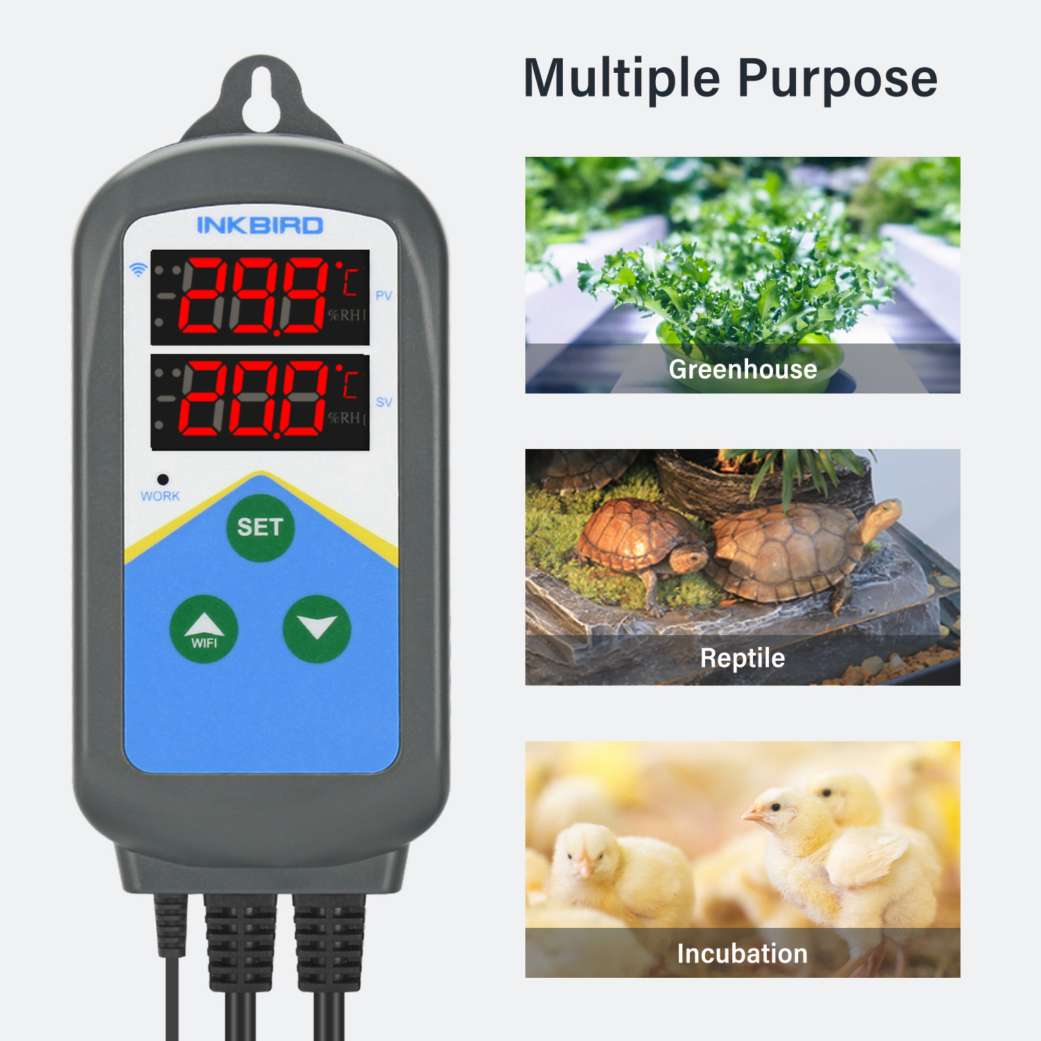 INKBIRD – régulateur de tempér - Wifi Thermostat avis et prix