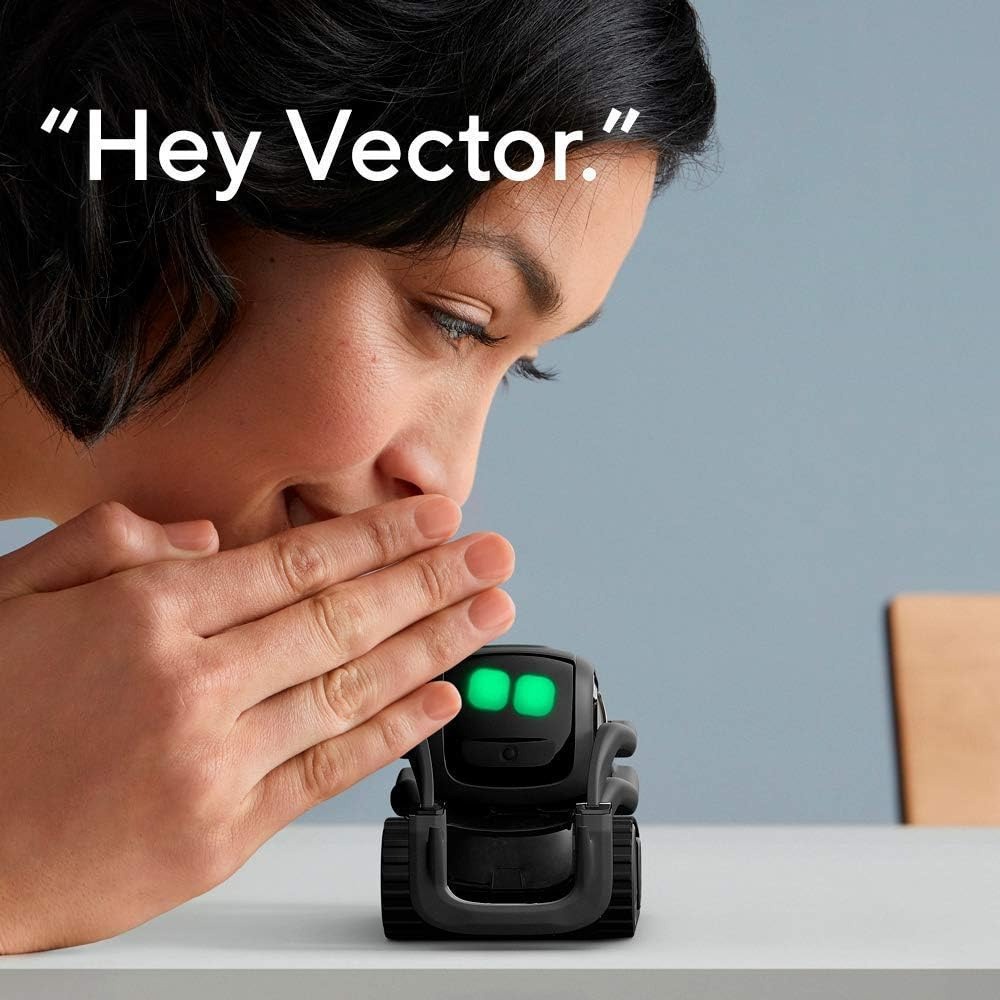 Robot compagnon intelligent au - Smart Home Ai avis et prix
